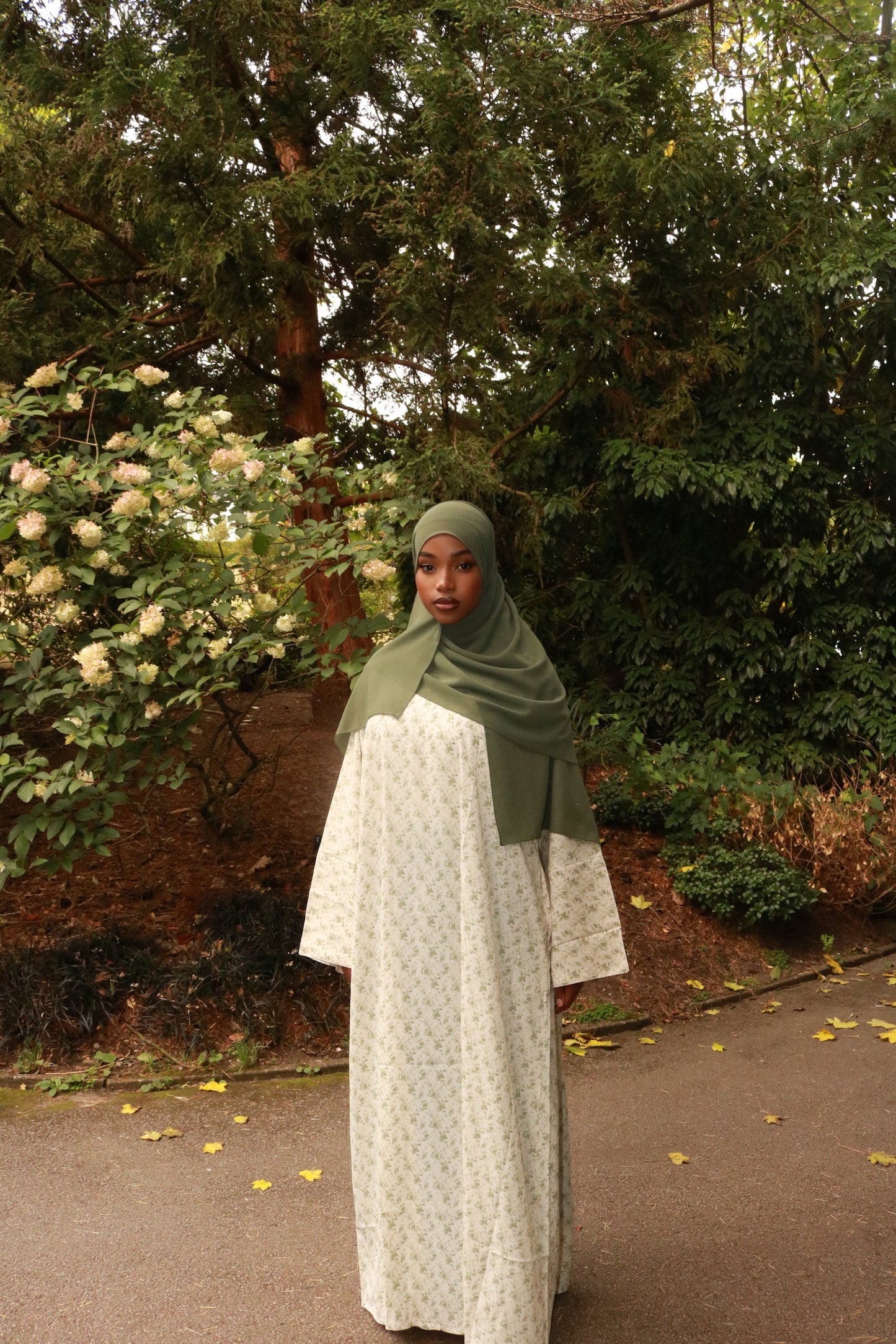 FERN - Nayla Collection