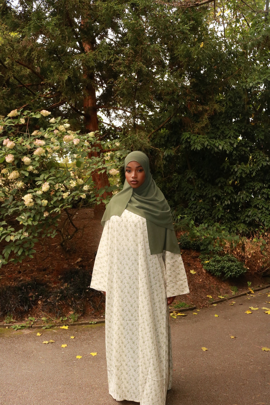 FERN - Nayla Collection